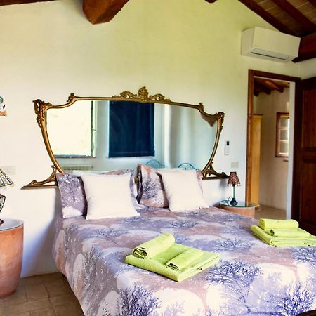 Agriturismo Quarantallina ブオンコンヴェント エクステリア 写真